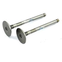 Conj. Valvula Admissão Escape Motor Diesel 12/13cv Buffalo