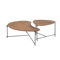 Conjunto 02 Mesas De Centro Orgânica Decorativa Cinamomo