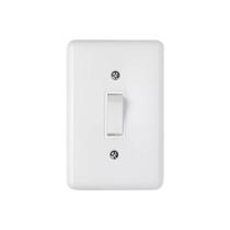 Conjunto 1 Interruptor Simples 1 Paralelo Com Placa Stylus 250V/6A Branco 4 X 2 2023 Ilumi