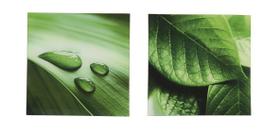 Conjunto 2 Quadros de Vidro Luxo Paisagem Folhas Jolitex