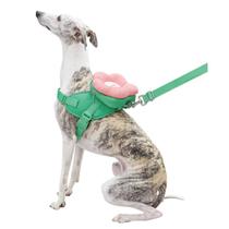 Conjunto 3 em 1 Mochila, Peitoral e Guia para Cães e Gatos Vetreska Flora Estilo, Conforto e Segurança