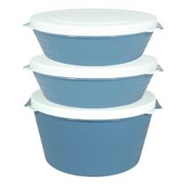 Conjunto 3 Pote Mantimentos Alimentos Hermético 2,8L + 1,5L Resistente Geladeira Freezer Cony - Azul