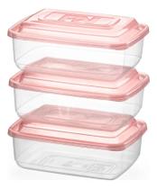 Conjunto 3 Potes Grandes 1 Litro Plasnorthon Transparente