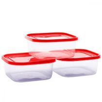 Conjunto 3 Potes Vasilha Quadrado Plástico Porta Mantimentos Organizador Alimentos Cozinha Academia Armazenar Congelar