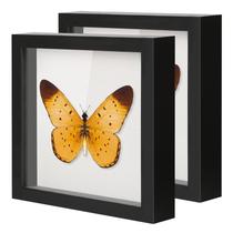 Conjunto 3D Shadow Box QDSSDECO (2 Unidades) - 10x10cm em Madeira Preta e Vidro