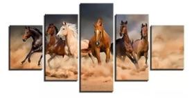 Conjunto 5 Quadros Cavalos Árabes Animais"