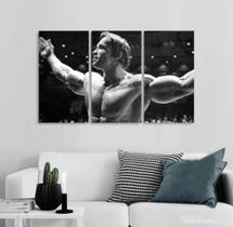 Conjunto 5 Quadros Decorativos Arnold Schwarzenegger Academia"