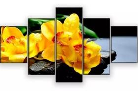 Conjunto 5 Quadros Orquidea Amarela"