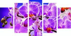 Conjunto 5 Quadros Sala Orquídeas Flores 01