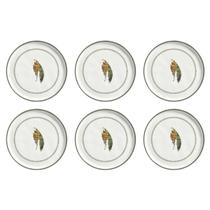 Conjunto 6 Pratos Rasos Bio Banane - Porto Brasil