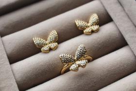 Conjunto Anel e Brinco zircôrnia Conjunto Anel e Brinco zircôrnia