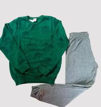 Conjunto Blusão e Calça Em Moleton Infantil Menino Alenice Verde 10