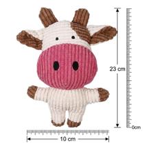 Conjunto Brinquedos Pet Mordedores Cordas e Pelúcias Com Apito