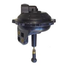 Conjunto Capsula 519790 Gol Motor 1.6 Alc gas (carburador Tldz) voyage Lc519790