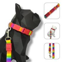Conjunto coleira e guia para cachorro - Modelo Arco Íris