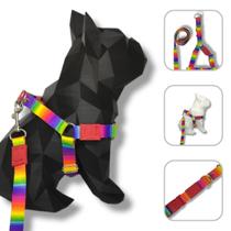 Conjunto coleira, peitoral e guia para cachorro - Modelo Arco Íris