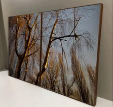 Conjunto com 2 quadros decorativos Árvore Seca. Conjunto com 2 quadros decorativos Árvore Seca.