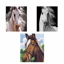 CONJUNTO COM 3 TELAS PARA PINTURA DIAMANTE 30x40 - CAVALOS