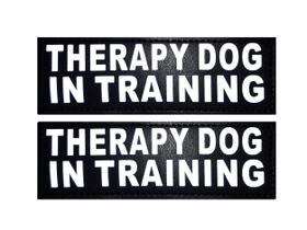 Conjunto de 2 adesivos removíveis Refletive Therapy Dog in Training