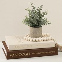 Conjunto de 2 livros decorativos falsos Fveuc com armazenamento oculto Conjunto de 2 livros decorativos falsos Fveuc com armazenamento oculto