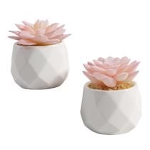 Conjunto de 2 plantas suculentas artificiais VIVERIE Mini Rose Pink Conjunto de 2 plantas suculentas artificiais VIVERIE Mini Rose Pink