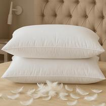 Conjunto de 2 travesseiros BHZ Down Feather Standard/Queen White Conjunto de 2 travesseiros BHZ Down Feather Standard/Queen White