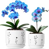 Conjunto de 2 vasos de orquídeas Thriving Thicket de 2 cerâmicas brancas de 13 cm e 15 cm Conjunto de 2 vasos de orquídeas Thriving Thicket de 2 cerâmicas brancas de 13 cm e 15 cm