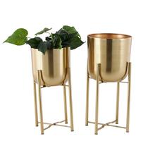 Conjunto de 2 Vasos para Plantas CosmoLiving by Cosmopolitan em Metal Dourado Conjunto de 2 Vasos para Plantas CosmoLiving by Cosmopolitan em Metal Dourado