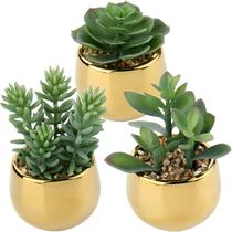 Conjunto de 3 suculentas artificiais da Briful with Gold Pots
