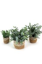 Conjunto de 3 vasos de tecido KALALOU para plantas de eucalipto artificial Conjunto de 3 vasos de tecido KALALOU para plantas de eucalipto artificial