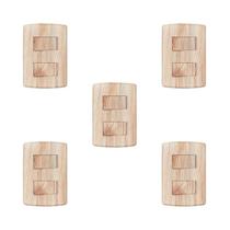 Conjunto de 5 Interruptores de 2 Teclas Simples, Modular, com Placa 4x2 e Suporte