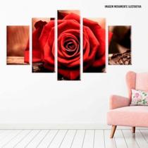 Conjunto de 5 placas Decorativas em MDF 6mm Rosa