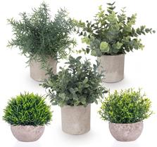 Conjunto de 5 Plantas Artificiais Mini Eucalipto Lemonfilter