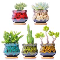 Conjunto de 5 vasos cerâmicos para suculentas LamDawn com drenagem Conjunto de 5 vasos cerâmicos para suculentas LamDawn com drenagem