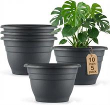 Conjunto de 5 Vasos Plásticos RooTrimmer 25 cm com Furos de Drenagem