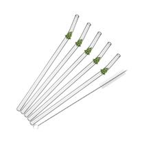 Conjunto De 6 Canudos De Vidro Borossilicato Reutilizáveis Com Escova Para Smoothies, Chá E Suco