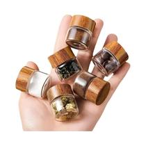 Conjunto De 6 Frascos Dispensadores De Vidro Mini Portáteis Para Viagens, Piqueniques, Camping E Uso