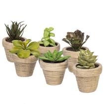 Conjunto de 6 suculentas artificiais em vasos da Vickerman 10cm Conjunto de 6 suculentas artificiais em vasos da Vickerman 10cm