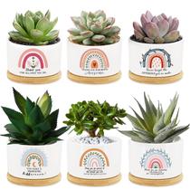 Conjunto de 6 Vasos de Cerâmica para Suculentas Tarklanda Arco-Íris Conjunto de 6 Vasos de Cerâmica para Suculentas Tarklanda Arco-Íris
