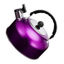 Conjunto de aço inoxidável leve Camping Whistling Kettle Wokex 2,5 L