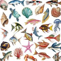 Conjunto de adesivos Colorful Fish, 50 unidades, vinil, impermeável para bricolage Conjunto de adesivos Colorful Fish, 50 unidades, vinil, impermeável para bricolage