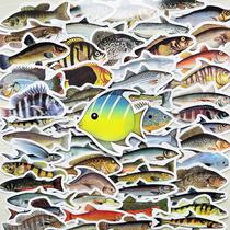 Conjunto de adesivos Ocean Theme Cartoon Marine Life 50 unidades