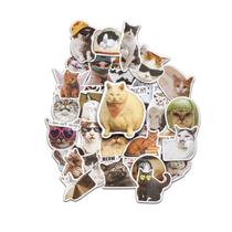 Conjunto de adesivos para crianças, adesivos de vinil à prova d'água para garrafa de água, frasco de água, telefone, skate, laptop Conjunto de adesivos para crianças, adesivos de vinil à prova d'água para garrafa de água, frasco de água, telefone, skate, laptop