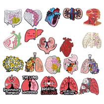 Conjunto de alfinetes de broche, anatomia médica, coração, pulmões, liga cerebral