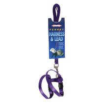 Conjunto de arnês e chumbo para Ferret Marshall Purple 48cm