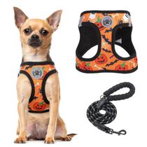 Conjunto de arnês e coleira BEAUTYZOO Step-in Floral para animais de estimação pequenos