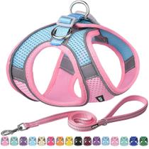 Conjunto de arnês e coleira para cães Aiitle Easy Walk para cães de médio porte Conjunto de arnês e coleira para cães Aiitle Easy Walk para cães de médio porte