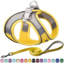 Conjunto de arnês e coleira para cães Aiitle Easy Walk para cães de médio porte