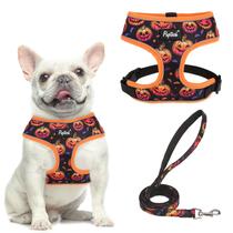 Conjunto de arnês e coleira para cães, colete confortável de malha macia PUPTECK, laranja