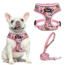 Conjunto de arnês e coleira para cães, colete confortável de malha macia PUPTECK